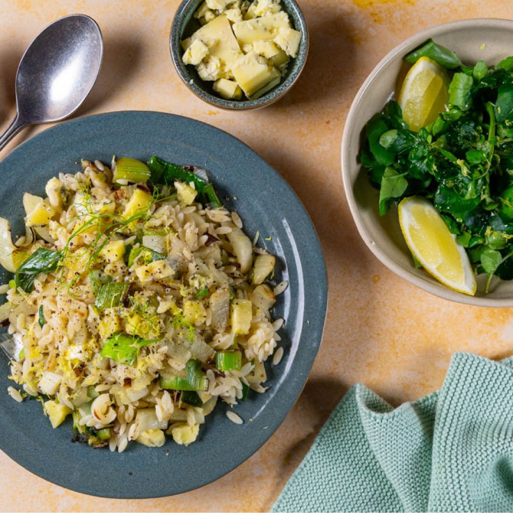 An image of Orzo met blauwe kaas
